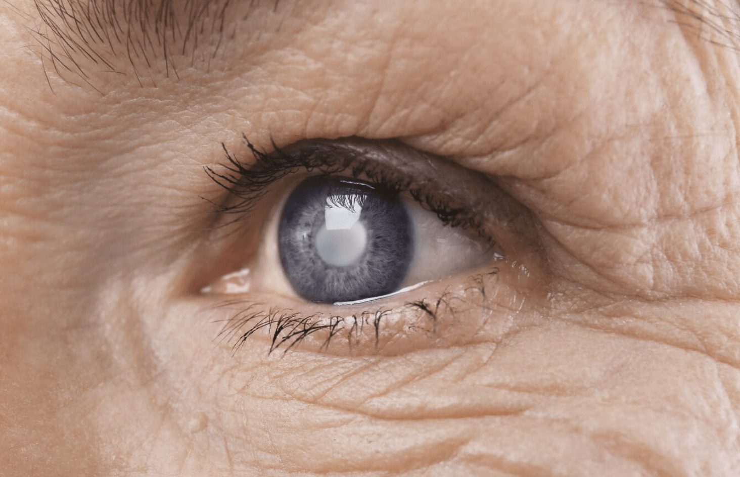 Screenshot 2025-04-01 at 18.02.57