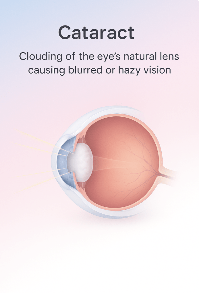 Screenshot 2025-11-06 at 17.35.57